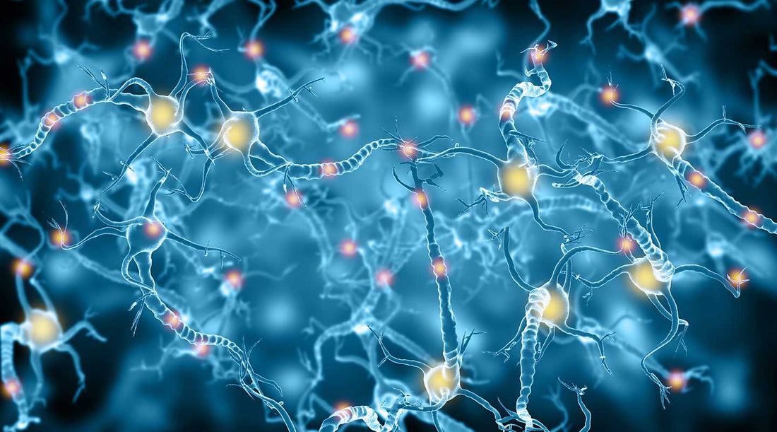 12 Minutes to knowing what matters about Molecular Hydrogen and CV-19.