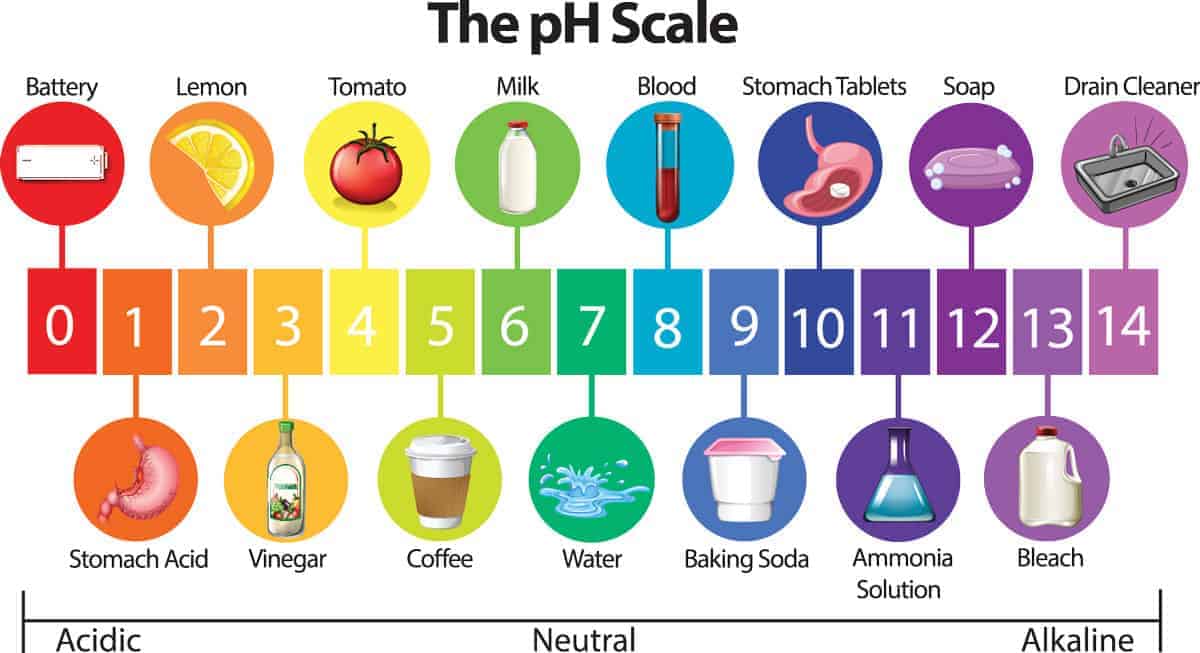 Ph scale with icon 1200x653 1